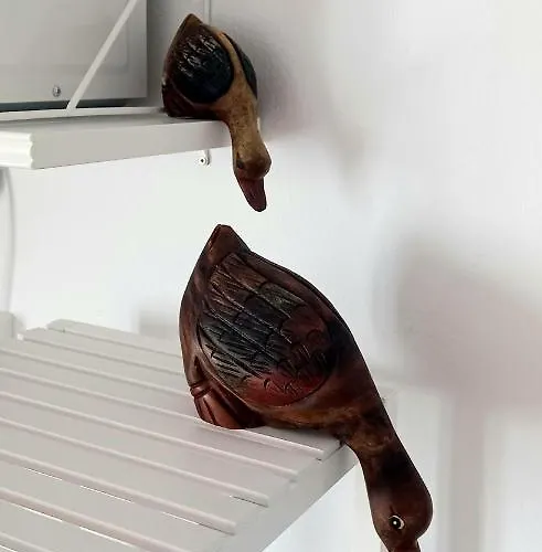 Apartamento Casa Pescado Y Mariposas *